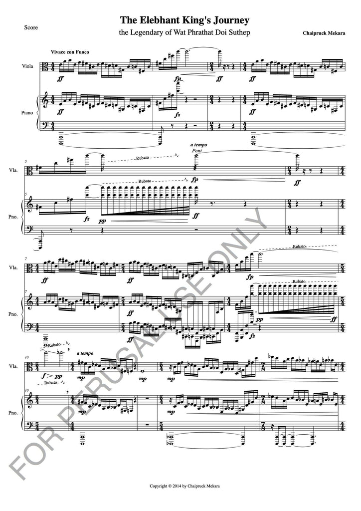 Contemporary music for Viola and Piano - Elebhant King's Journey