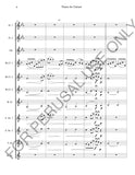 Theme for Clarinet for Woodwind Ensemble (score+parts)