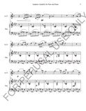 Andante Cantabile Alto Clarinet and Piano - Score+Parts