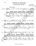 Basset Horn and Piano: Schubert's Gretchen am Spinnrade - ChaipruckMekara