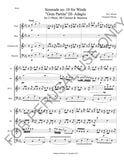 Woodwind Quartet music - Mozart's Serenade No. 10 for winds - ChaipruckMekara