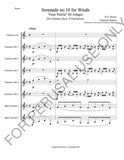 Mozart's Serenade no. 10 for Winds arrangement for Clarinet Choir (8 players)-score+parts