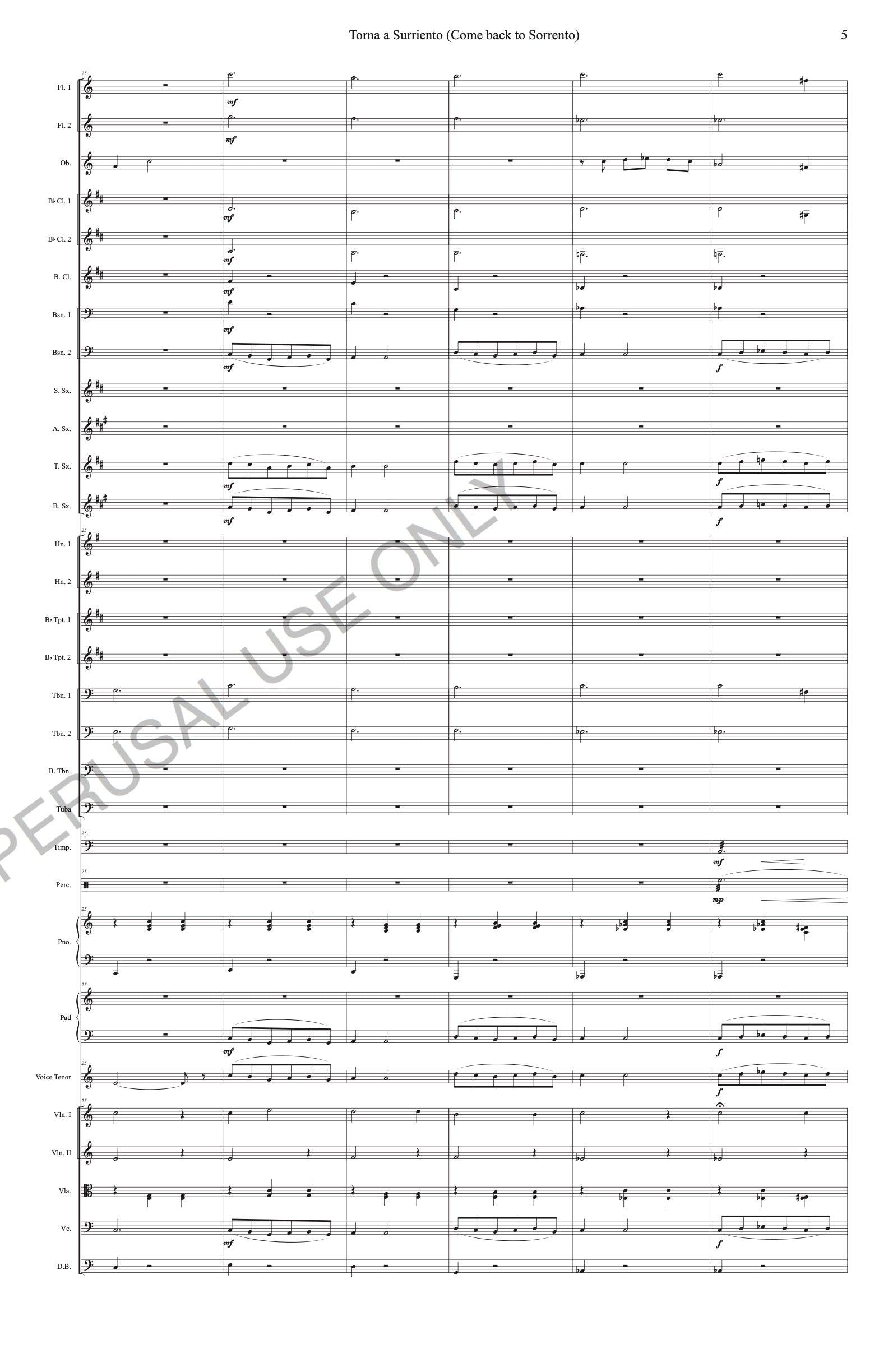 Pop Orchestra - Come Back to Sorrento sheet music - ChaipruckMekara